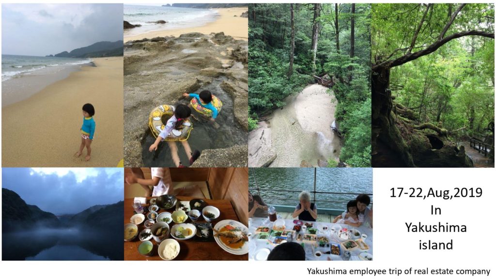 Yakushima company trip of real estate company JP Expert